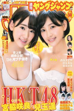 木叶八色