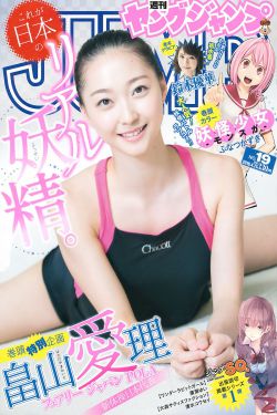 9.1免费版